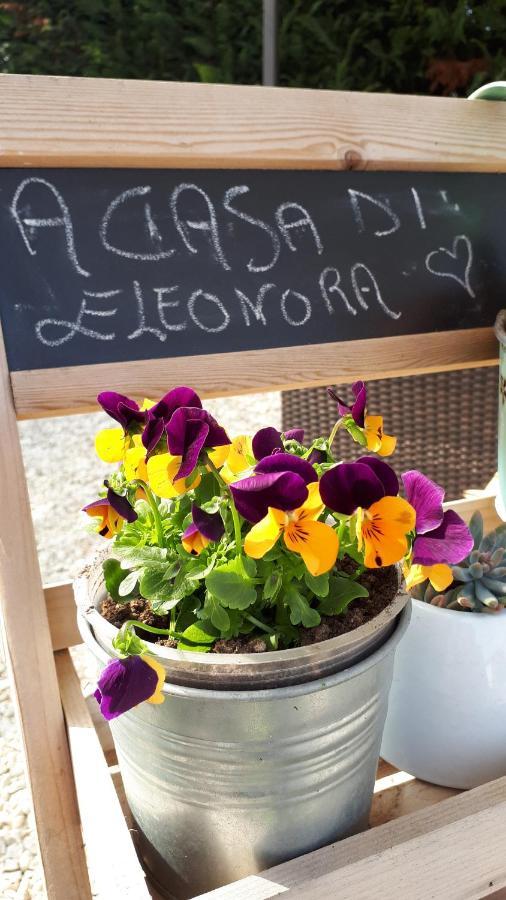 B&B A Casa Di Eleonora Villafranca di Verona Bagian luar foto