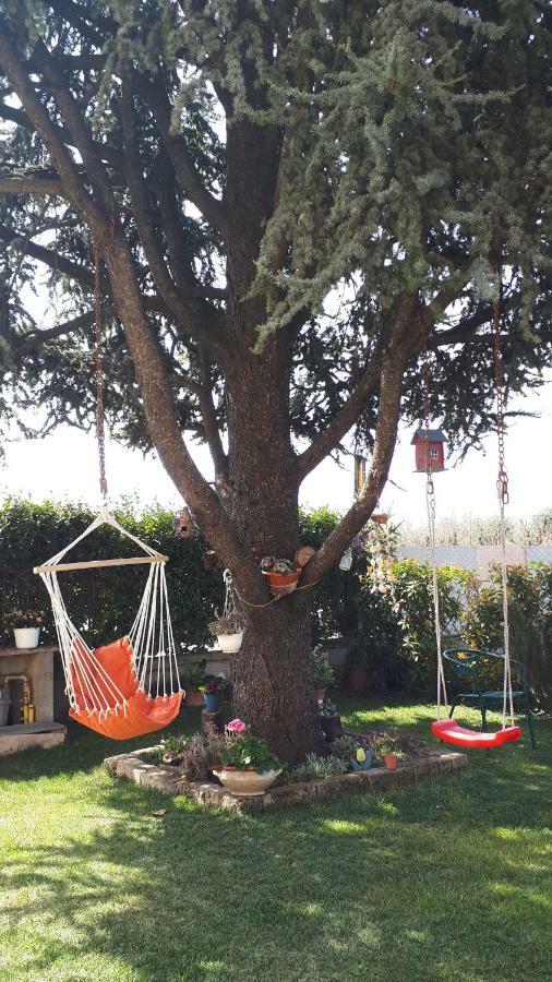 B&B A Casa Di Eleonora Villafranca di Verona Bagian luar foto
